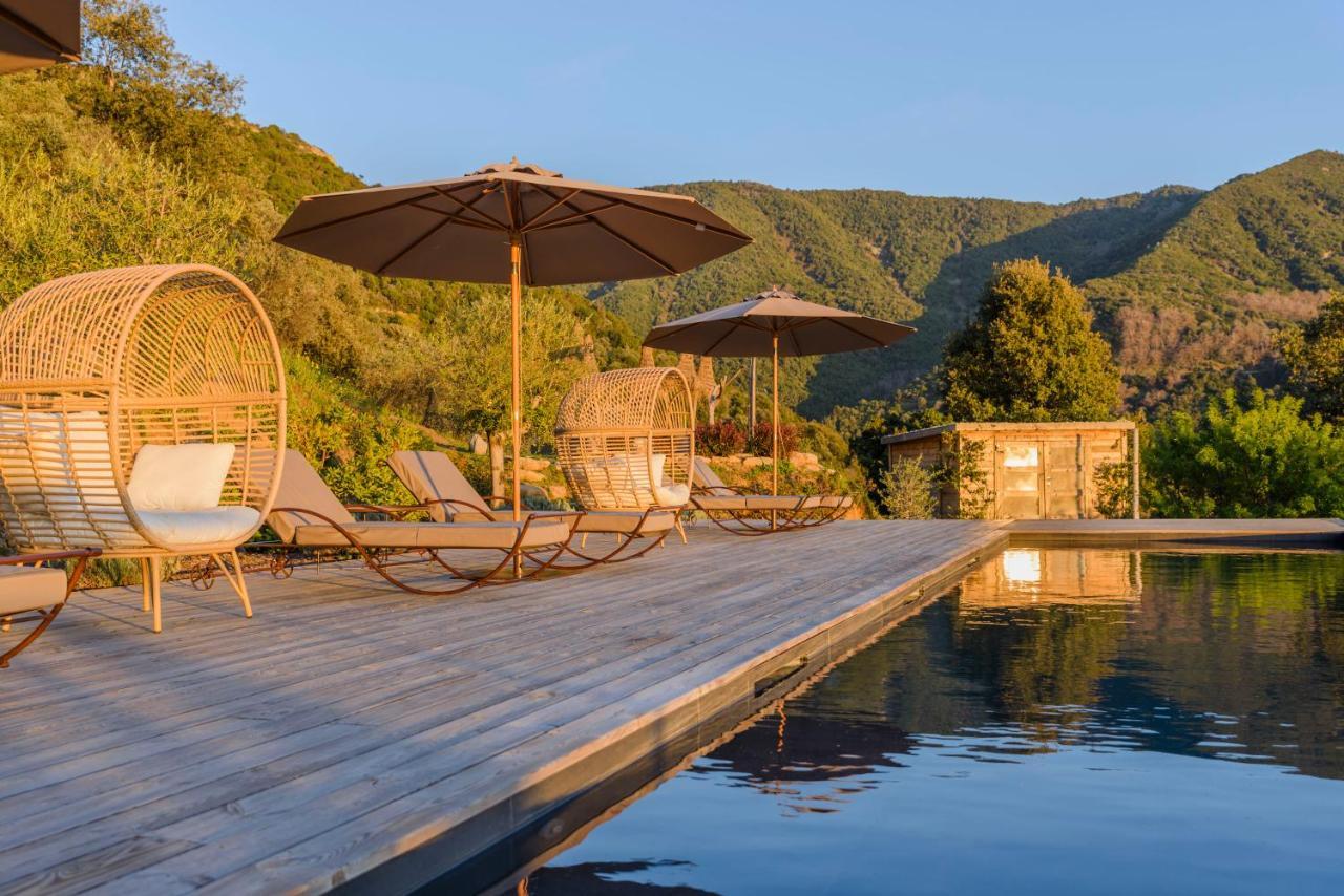 Terre De Maquis, Maison D'Hotes Vue Mer Corse Sari-D'orcino Esterno foto