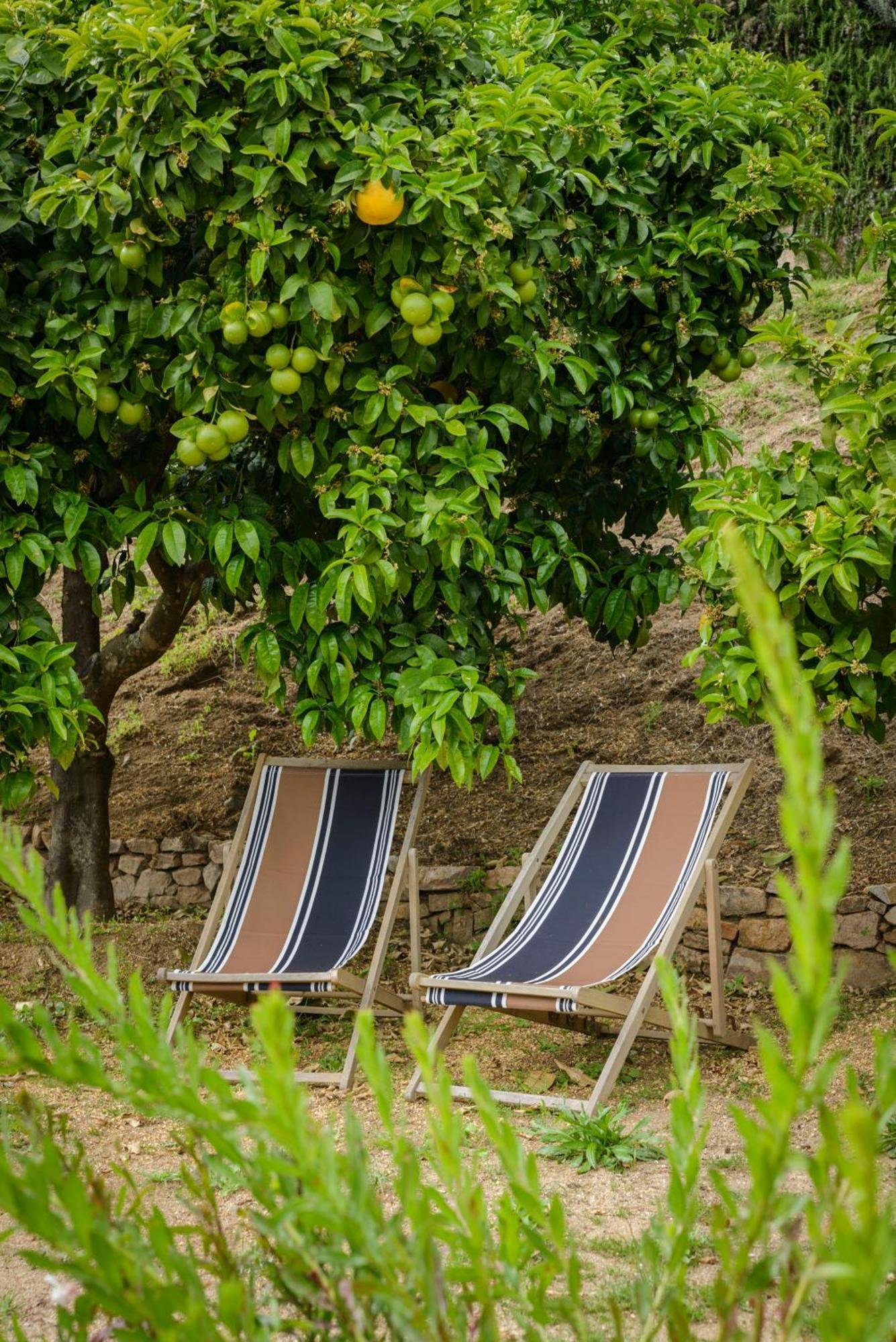 Terre De Maquis, Maison D'Hotes Vue Mer Corse Sari-D'orcino Esterno foto