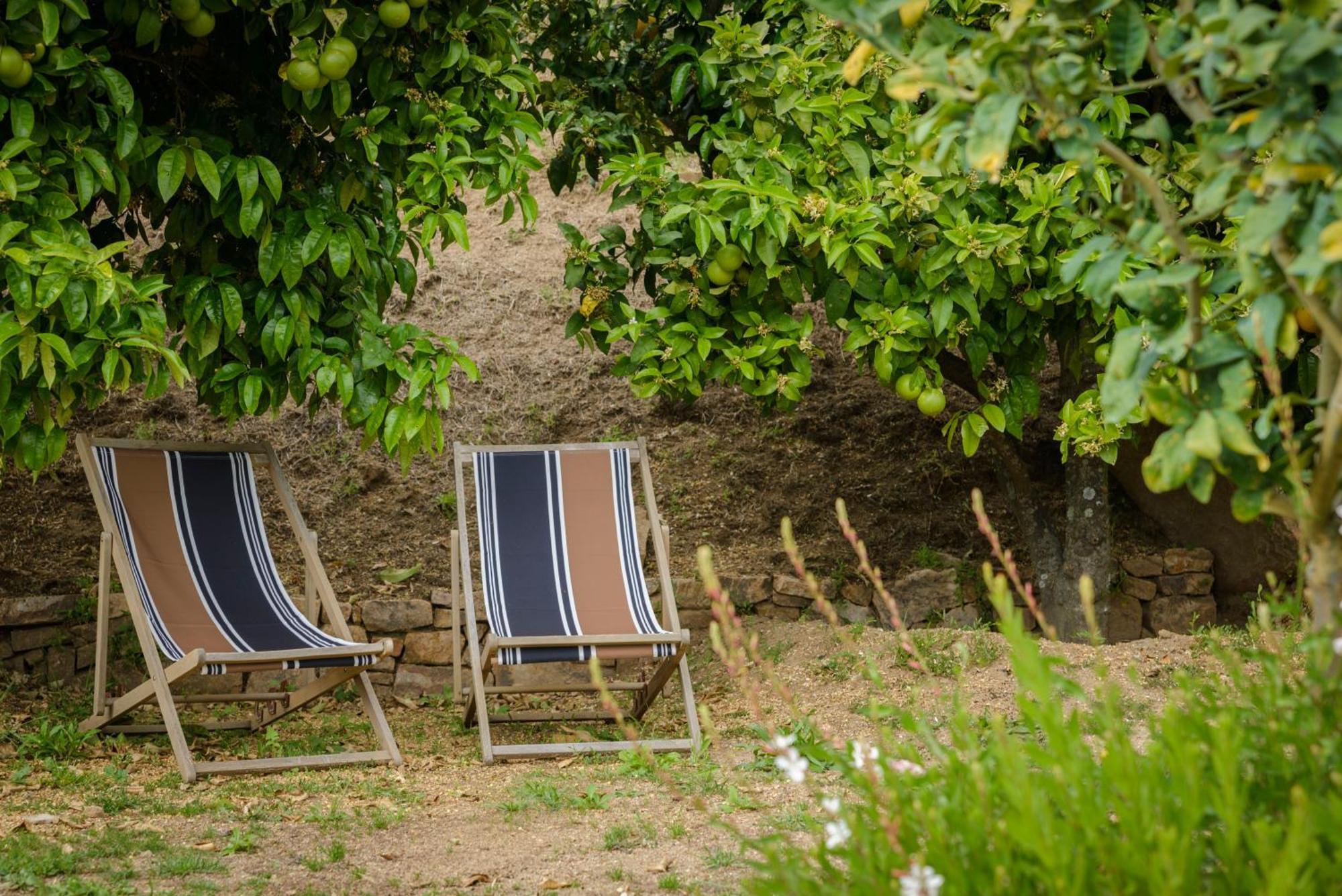Terre De Maquis, Maison D'Hotes Vue Mer Corse Sari-D'orcino Esterno foto